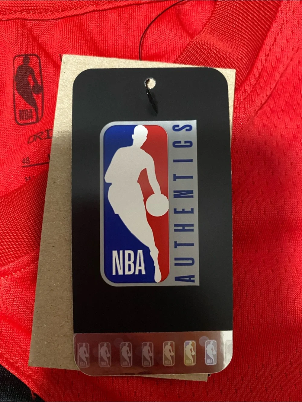 Nike Toronto Raptors NBA Swingman Icon Edition Jersey – NWT – Men’s Large (48)